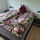 katte i sovevaerelse Julianna